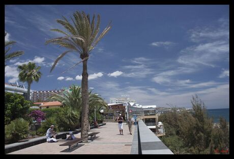 Lekker op Gran Canaria