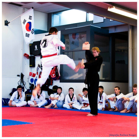 Taekwondo-sprong