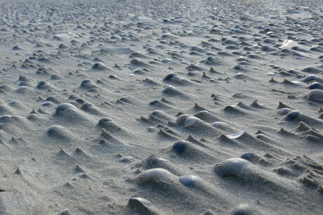 Patronen aan de waterlijn