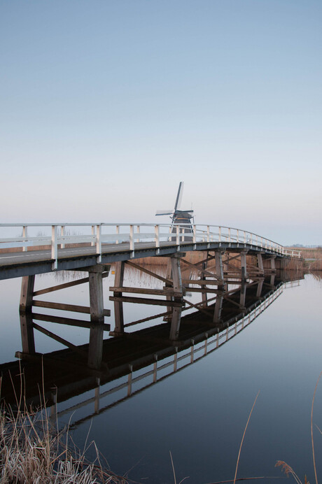 Kinderdijk_13