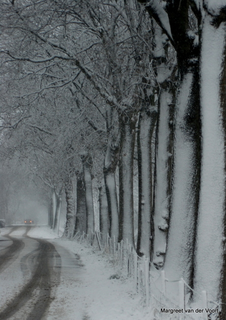 Besneeuwde weg