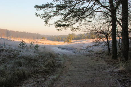 Winter in Aantocht