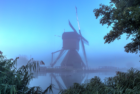 Kinderdijk 05