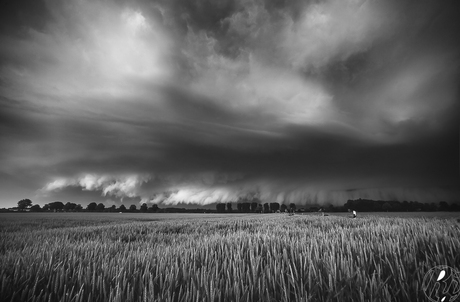 Storm Front