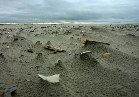 Strand Schiermonnikoog