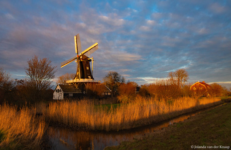 Gouden uurtje