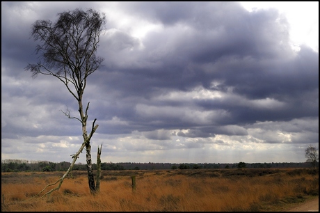 Strabrechtse Heide