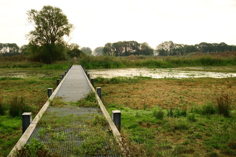 wetlands