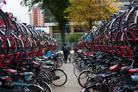 All those bikes