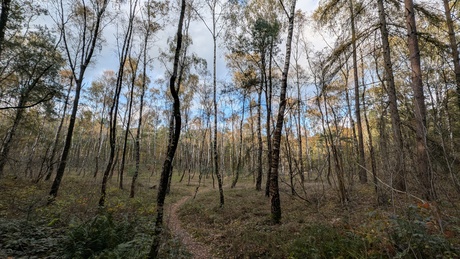 Je bent nooit alleen met familie