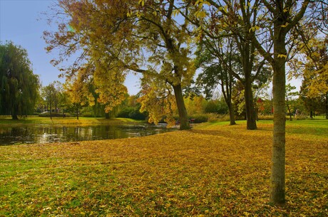 Herfst tinten.