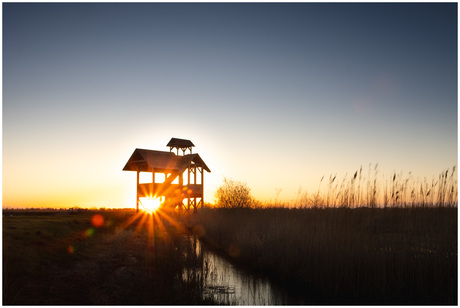 Vogelkijkhut in de ochtend