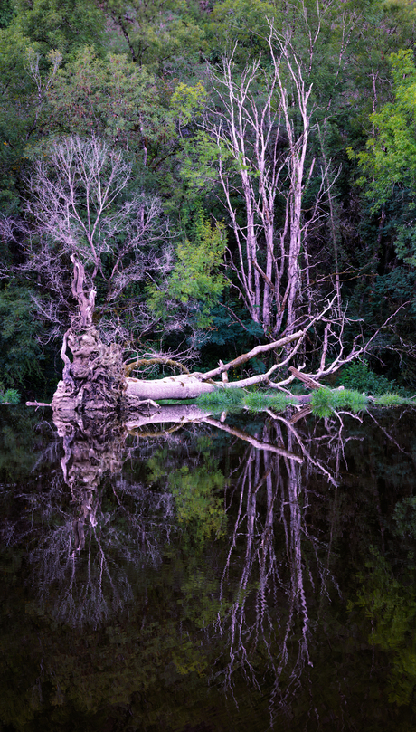 Weerspiegeling
