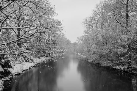 Winters plaatje (zwart/wit)