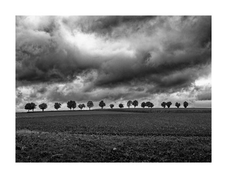 - Nederland | Limbug | Vals plat -