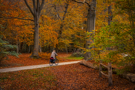 Fietser in de herfst.