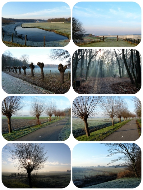 FotoJet Collage St duinse bos en omg 6 dec 2016