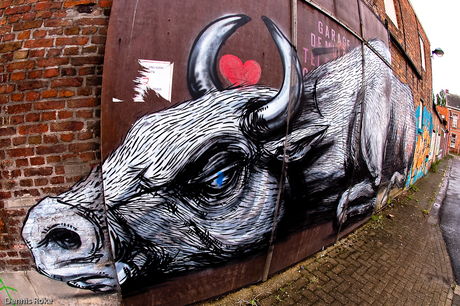 Doel 13-05-10