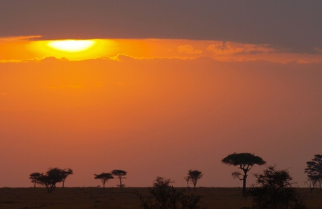 Zonsopgang Serengeti