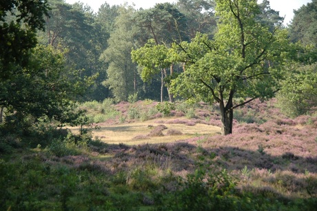 Den Treek*Henschoten