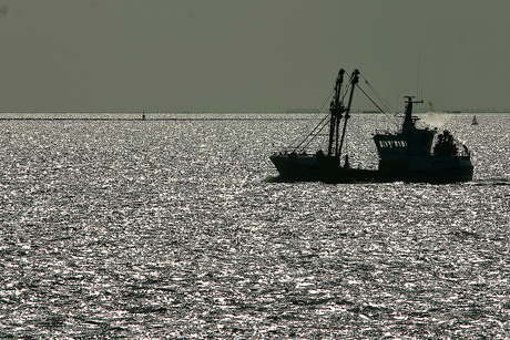 Vissersboot in tegenlicht