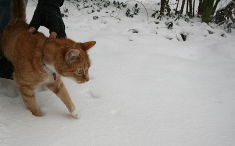 Jirko the snowcat