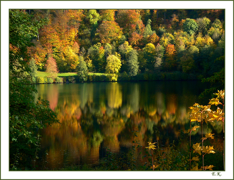 Herfstspiegeling