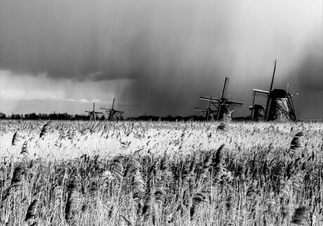 R3g3n op Kinderdijk