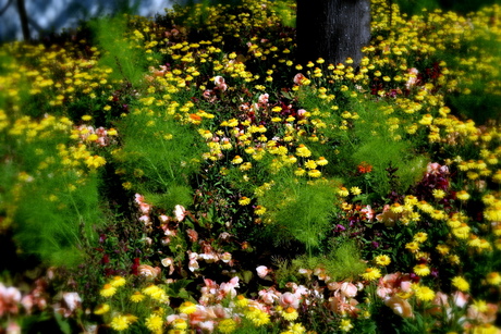 bloemetjes gordijn