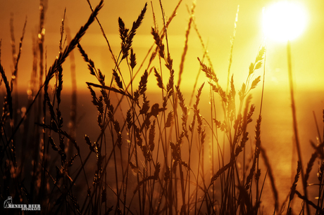 Zonsondergang in Normandië