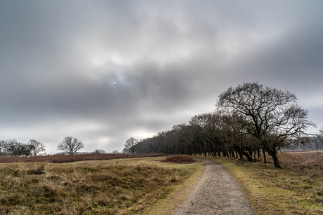 Toch nog een zonnetje 