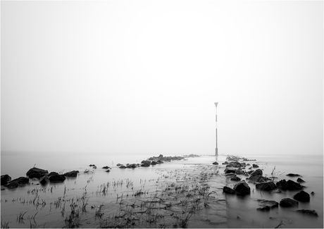 Nebel am Rhein [170]