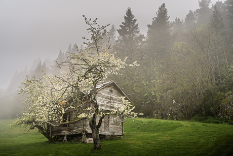 Waar het verleden rust uitademt