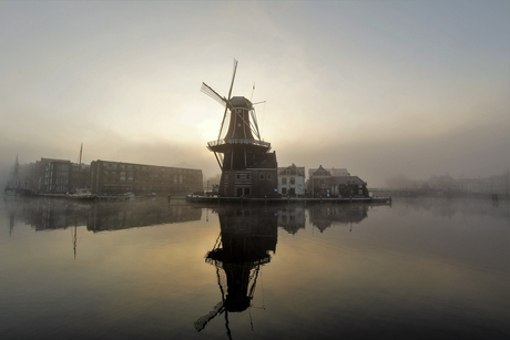 Molen van Adriaan Haarlem