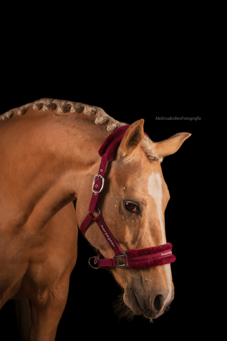 Studiofotografie