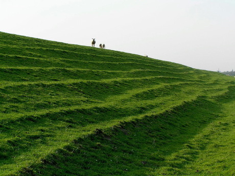 Vierhuizen