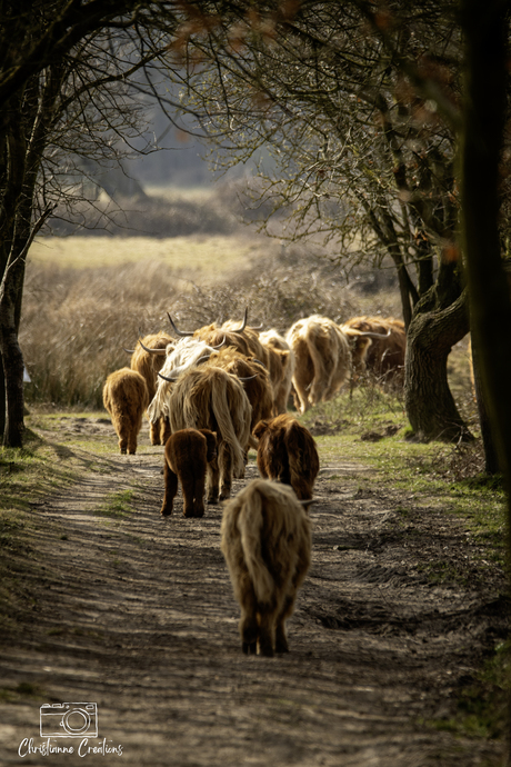 Samen één met de natuur