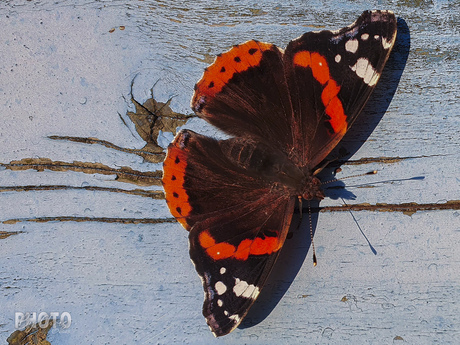 Kijk mij eens mooi zijn