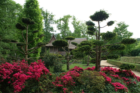 Japanse tuin