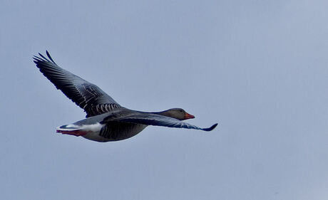 Uit de lucht geschoten