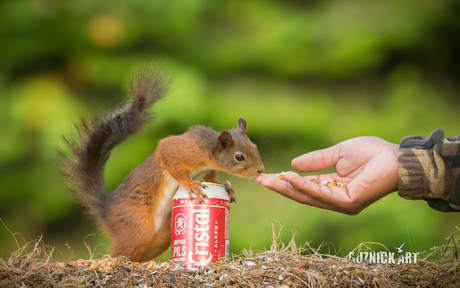 I want that damm beer