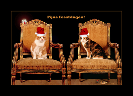 Fijne feestdagen!