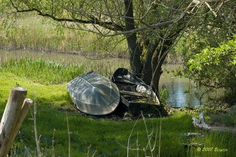 Waterrijk Biesbosch