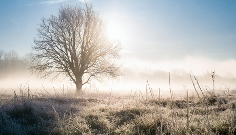 Winter memories