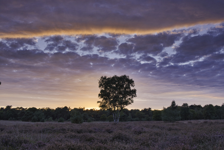 zonsondergang op de heide