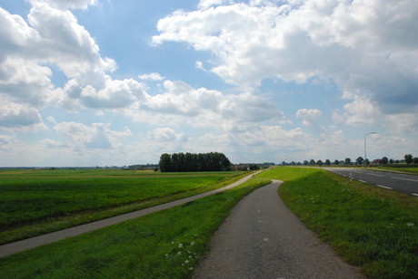 Schaduw in de zon