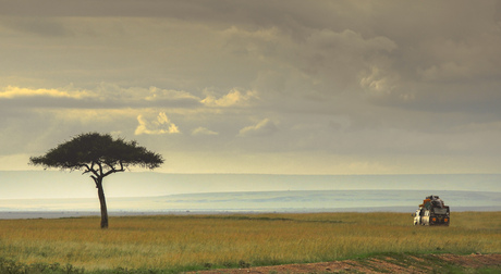 Masai mara