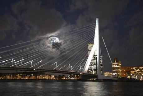 ERASMUSBRUG ROTTERDAM