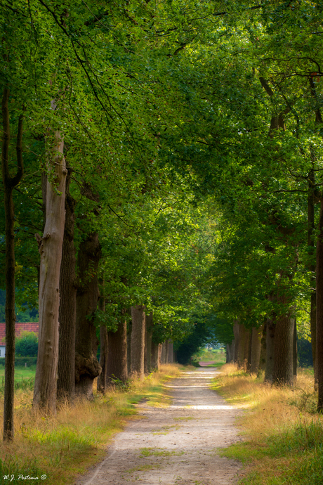 Zandweg.