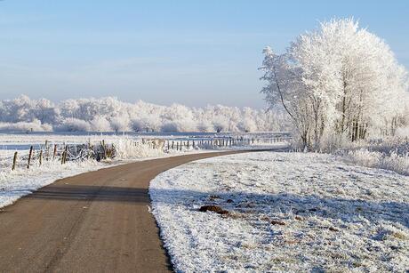 Winter in Dordrecht 2